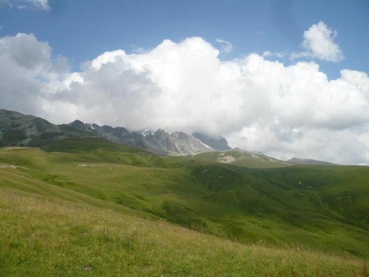 376909_10100296460788216_137073865_n