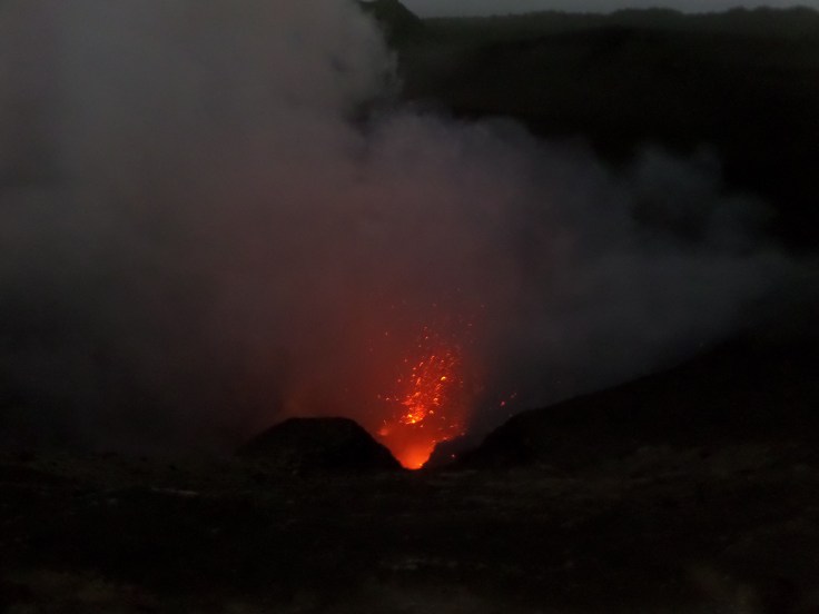 SAMSUNG CAMERA PICTURES