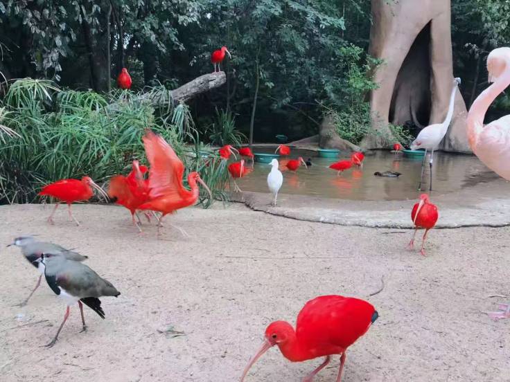 WeChat Image_20190913111352