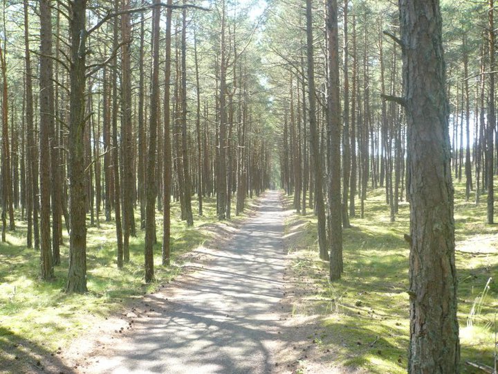 60175_731103037706_3080686_n