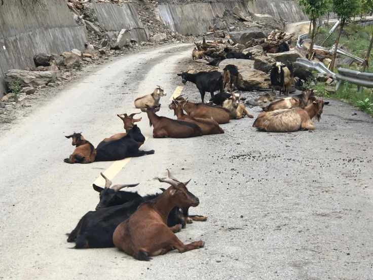 WeChat Image_20200802183754